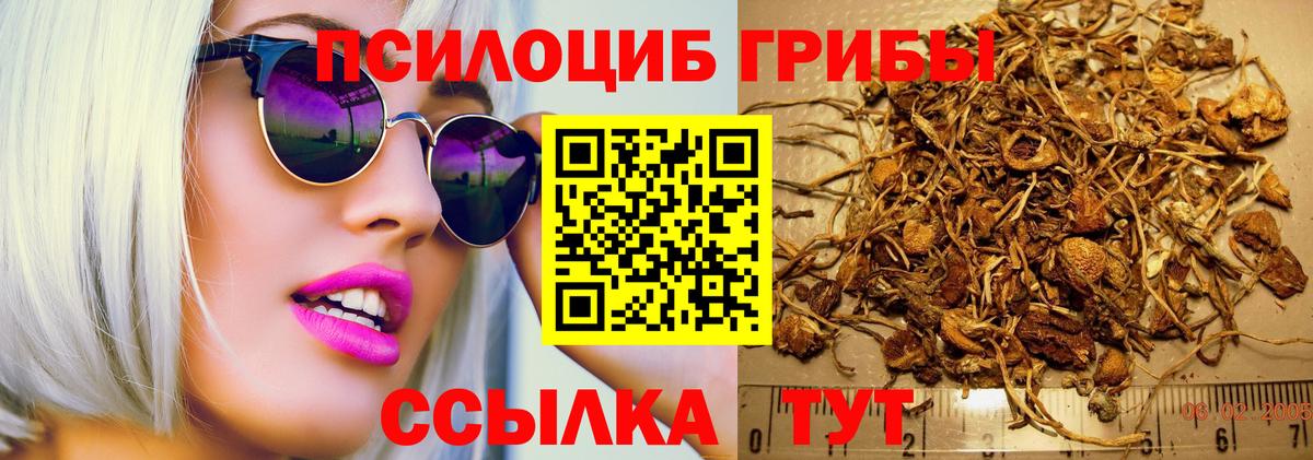 Псилоцибиновые грибы мухоморы  Вход с VPN  Кохма 
